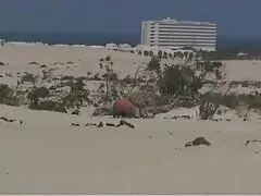 Lezioni di inglese e membri foto porno di ragazze nude fluenti